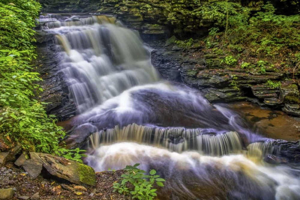 Art Print: Pennsylvania, Ricketts Glen SP Delaware Falls