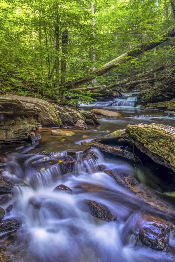 Art Print: Pennsylvania, Ricketts Glen SP Kitchen Creek