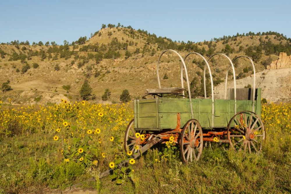 Art Print: SD, Wild Horse Sanctuary Vintage wagon