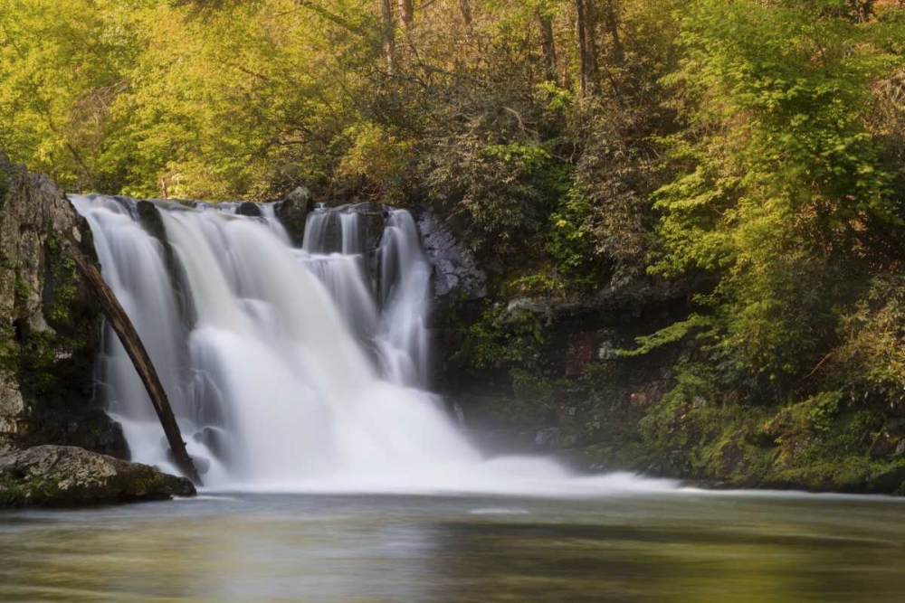Art Print: Tennessee, Great Smoky Mts Abrams Falls