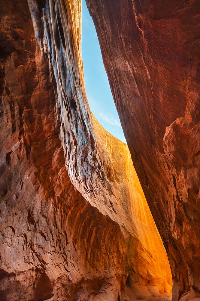 Art Print: Leprechaun Canyon-one of a group of canyons called the Irish Canyons near Hanksville-Utah