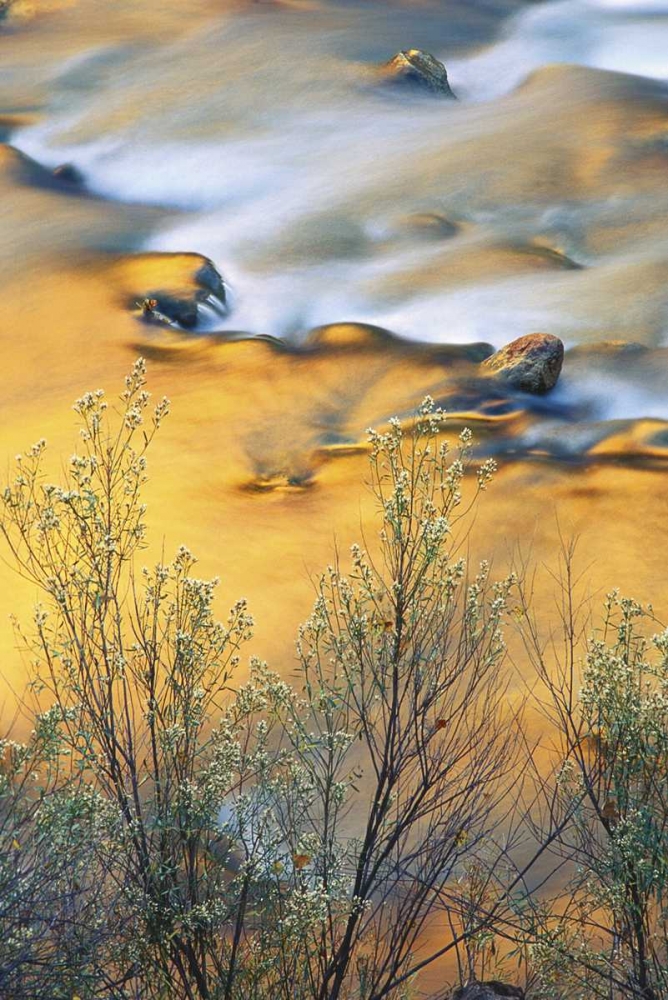 Art Print: UT, Zion NP, Virgin River With Canyon Reflections