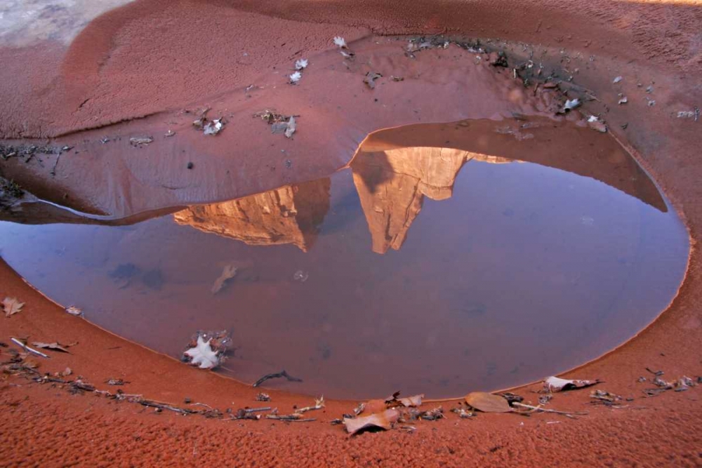 Art Print: UT, Arches NP Rain puddle reflections