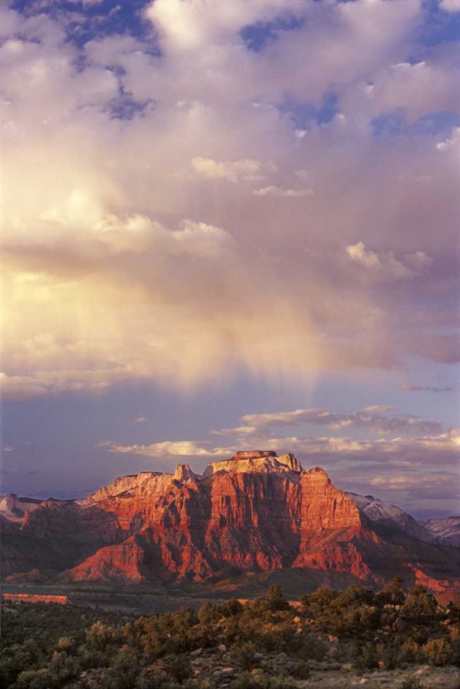 Art Print: UT, Zion NP Storm over back of West Temple