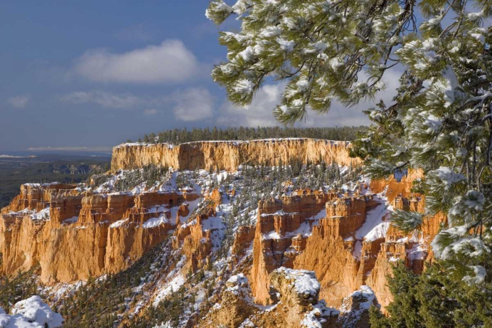 Wall art: UT, Bryce Canyon Sunrise on canyon formations, by Paulson, Don