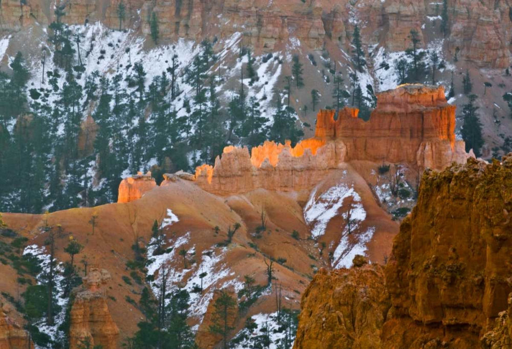 Art Print: UT, Bryce Canyon Hoodoo formations and evergreen