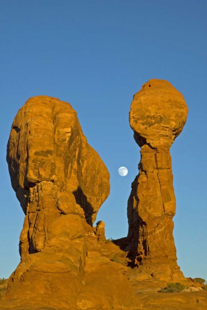 Art Print: UT, Arches NP Moonrise over Garden of Eden