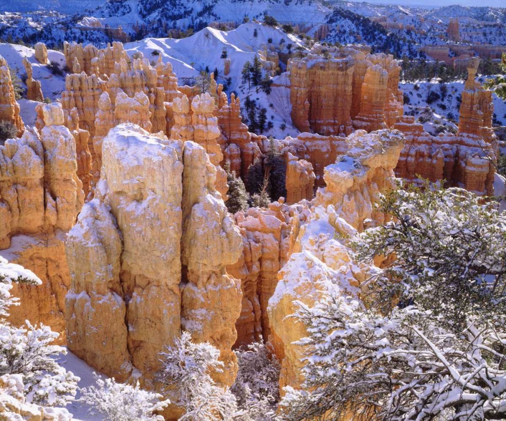 Art Print: Utah, Bryce Canyon NP in Winter