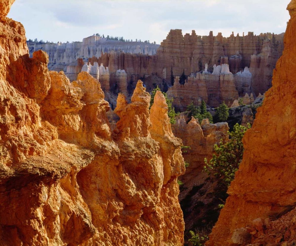 Art Print: Utah, Bryce Canyon NP Sandstone formations