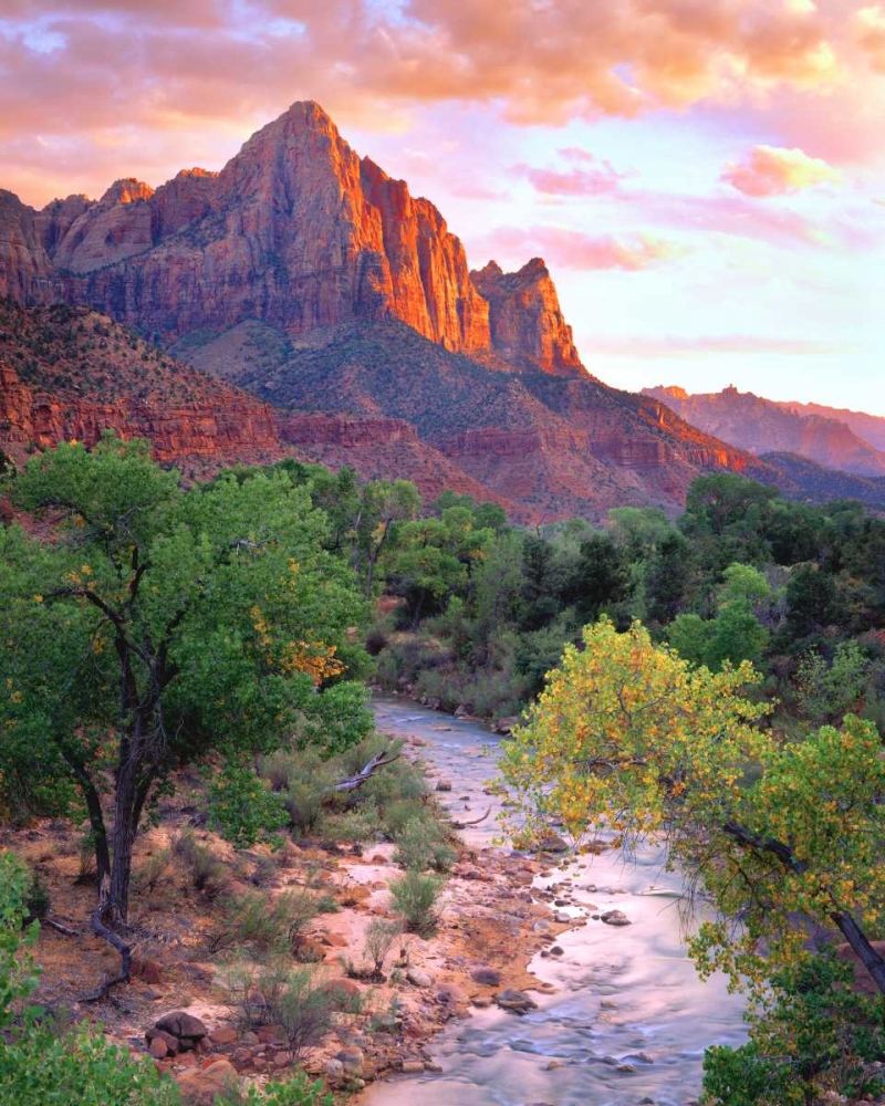 Art Print: Utah, Zion NP at Sunset