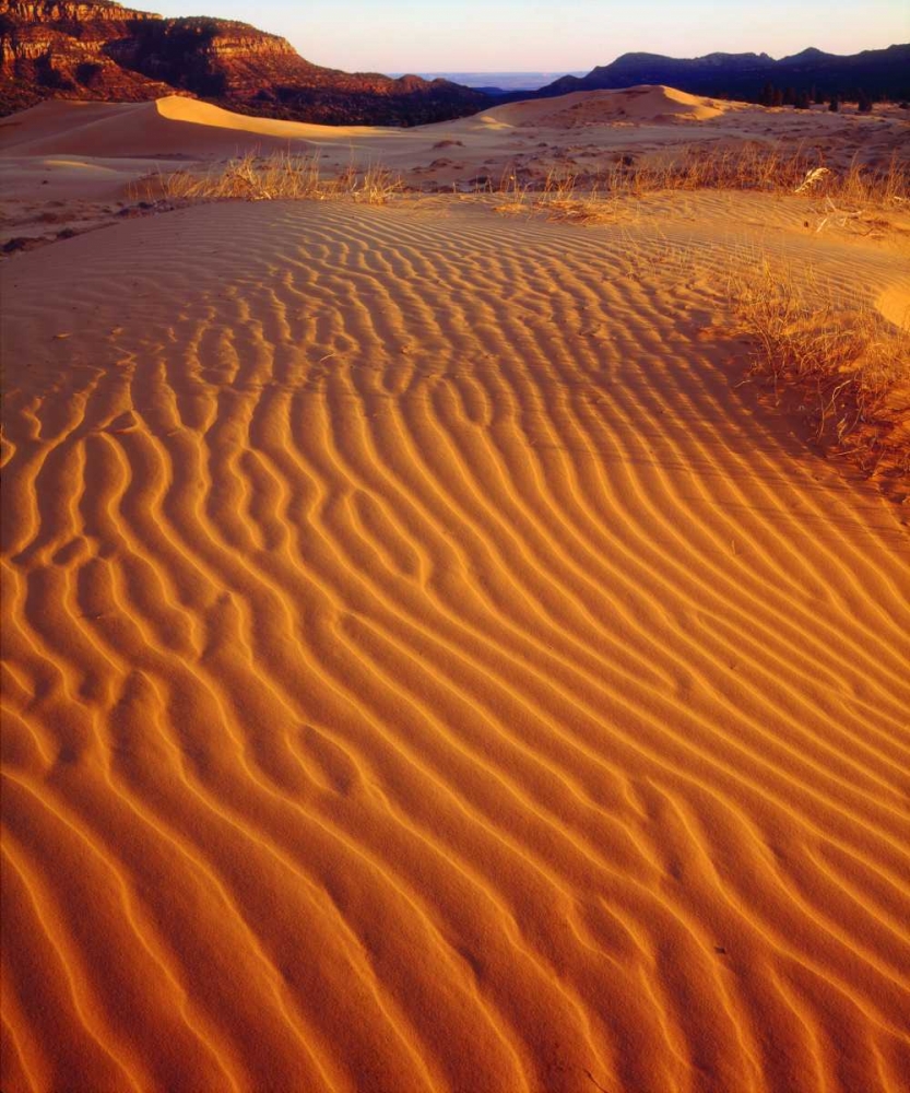 Art Print: USA, Utah Coral Pink Sand Dunes at sunset