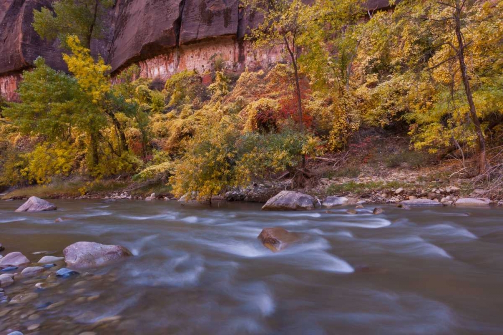 Art Print: USA, Utah, Zion NP Autumn on the Virgin River