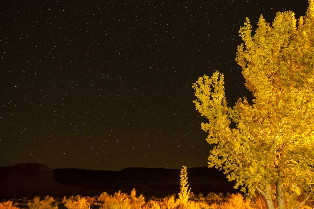 Art Print: USA, Utah Stary night sky in autumn