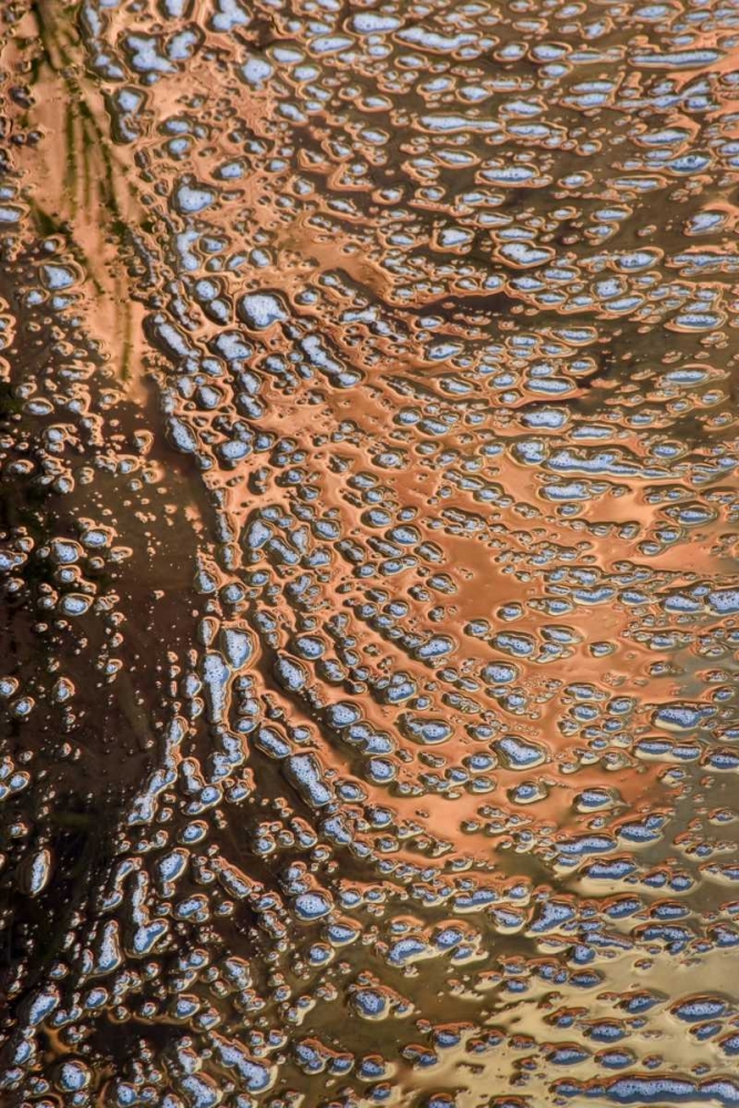 Art Print: USA, Utah, Zion NP Water abstract