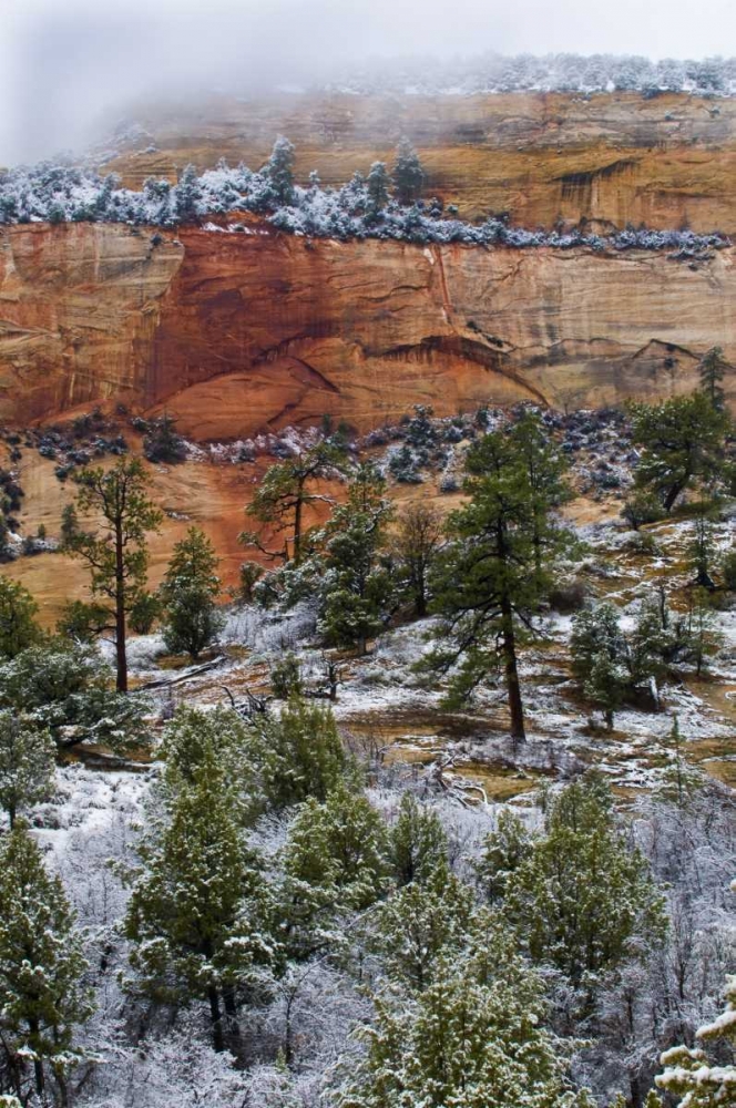 Art Print: USA, Utah, Zion NP Winter scenic