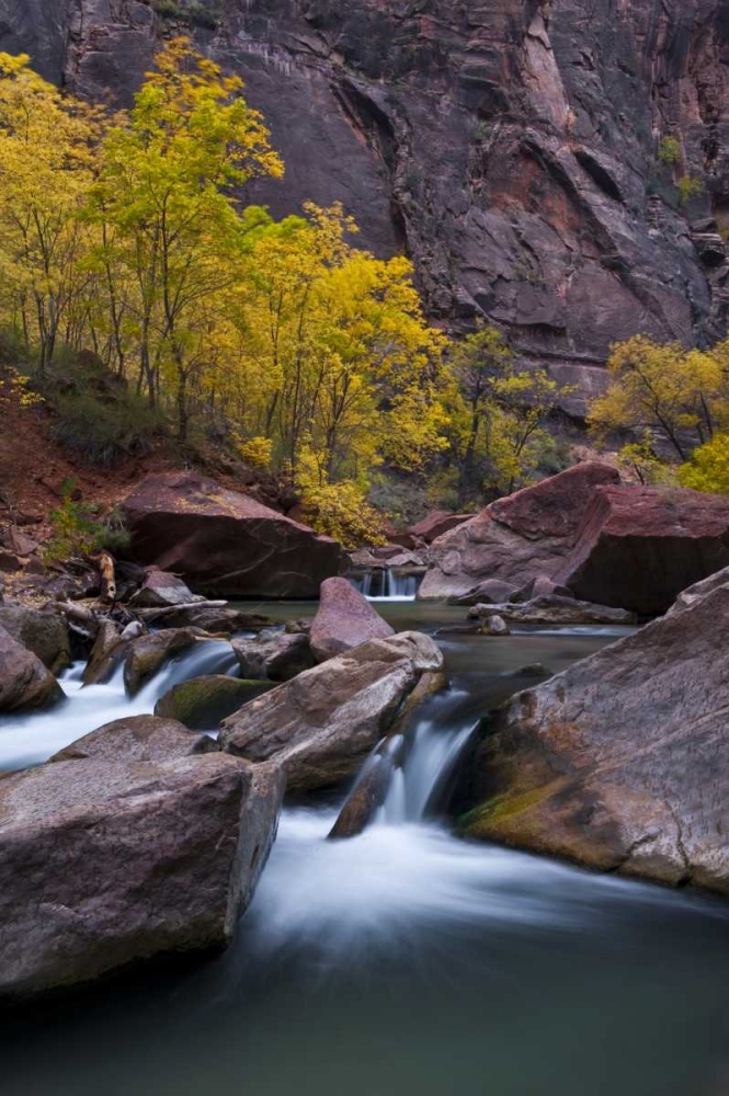 Wall art: Utah, Zion NP Canyon waterfall with cottonwoods, by Rotenberg, Nancy