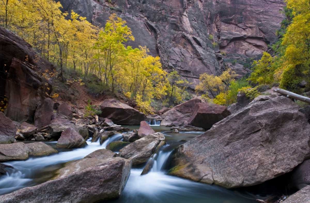 Art Print: Utah, Zion NP Canyon waterfall with cottonwoods
