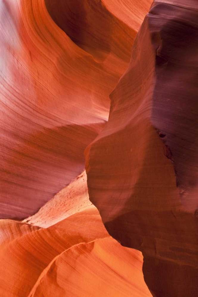 Art Print: AZ, Sandstone formation in Antelope Canyon