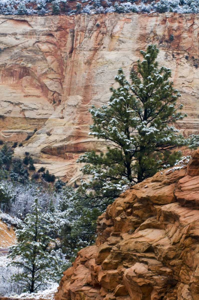 Art Print: USA, Utah, Zion NP Winter scenic