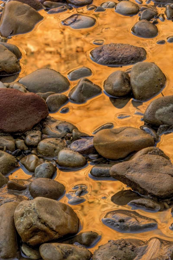 Art Print: USA, Utah, Zion NP Rocks in water