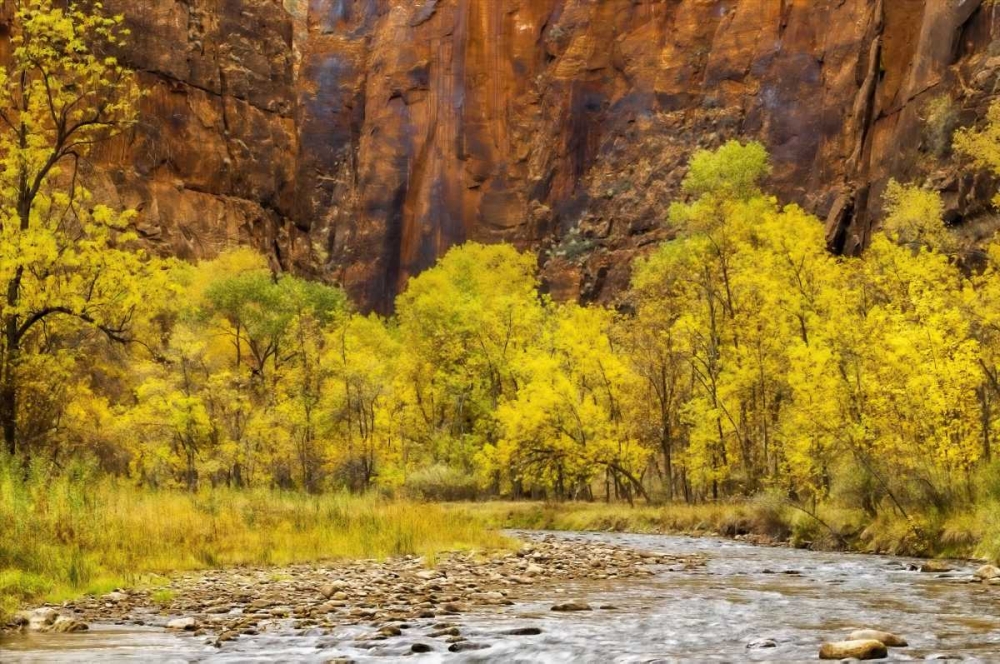 Art Print: USA, Utah, Zion NP Stream in autumn landscape