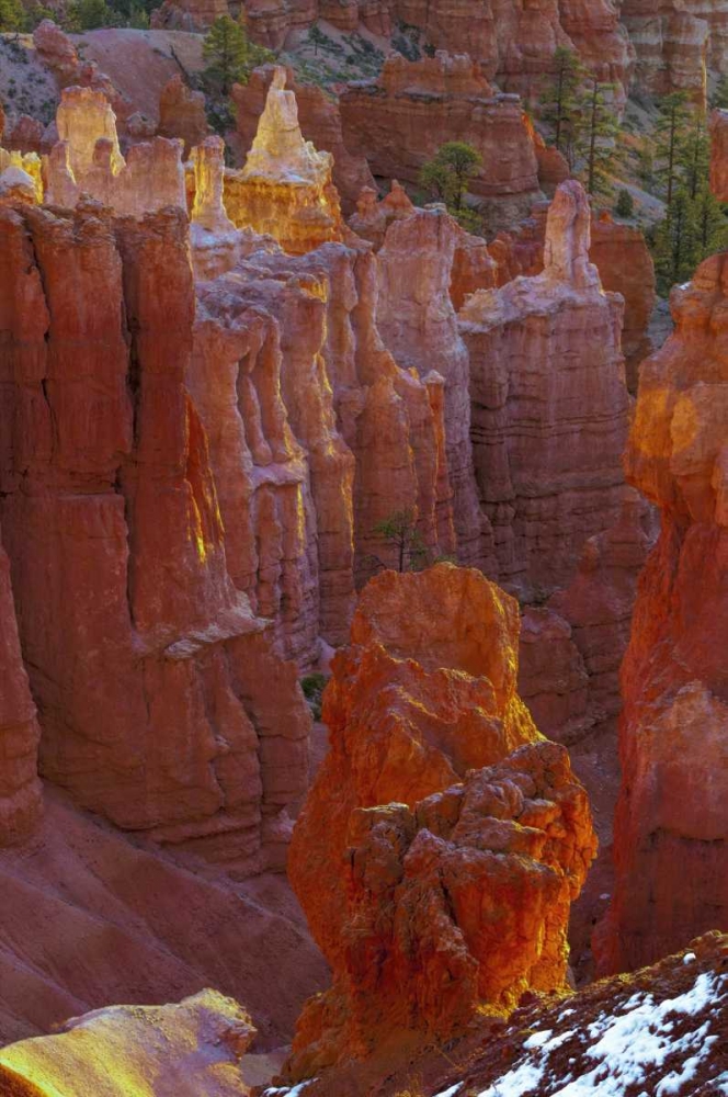 Art Print: USA, Utah, Bryce Canyon NP Close-up of hoodoos