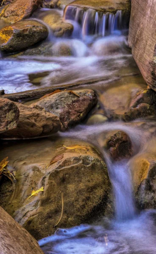 Art Print: USA, Utah, Zion NP Rocks in stream