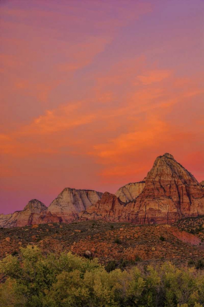 Art Print: USA, Utah, Zion NP Mountain landscape