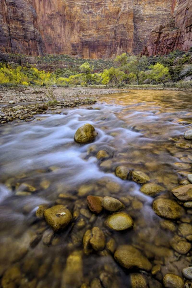 Art Print: USA, Utah, Zion NP Stream in autumn scenic