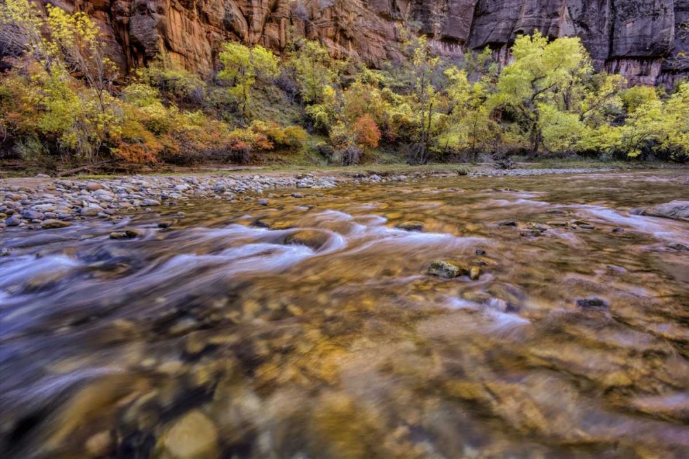 Art Print: USA, Utah, Zion NP Stream in autumn scenic