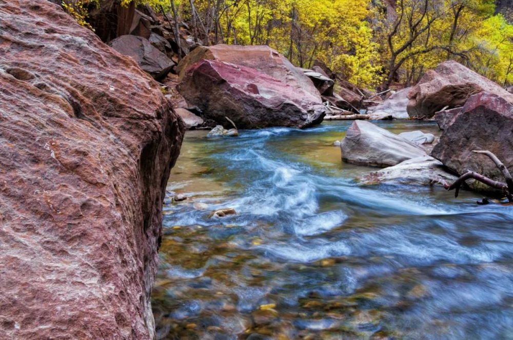Art Print: USA, Utah, Zion NP Stream in autumn landscape