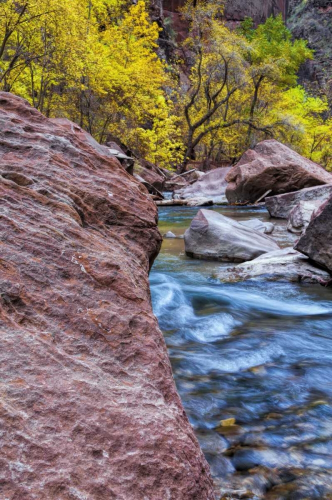 Art Print: USA, Utah, Zion NP Stream in autumn landscape