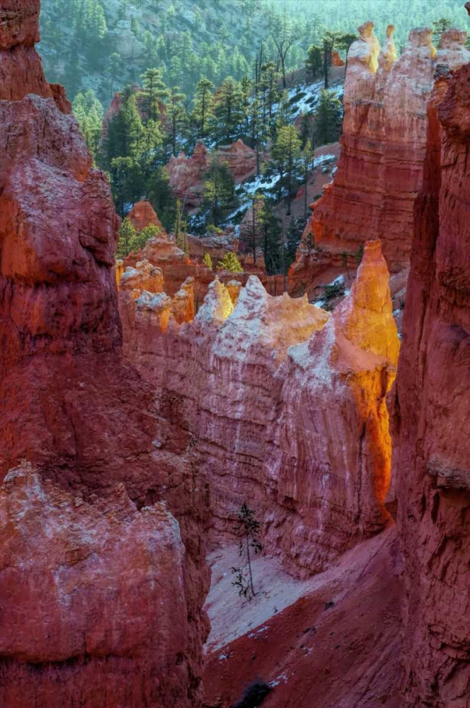 Art Print: USA, Utah, Bryce Canyon NP Close-up of hoodoos