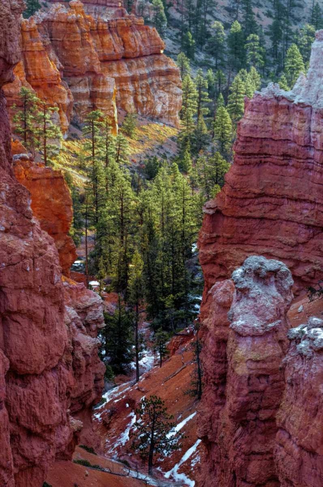 Art Print: USA, Utah, Bryce Canyon NP Close-up of hoodoos