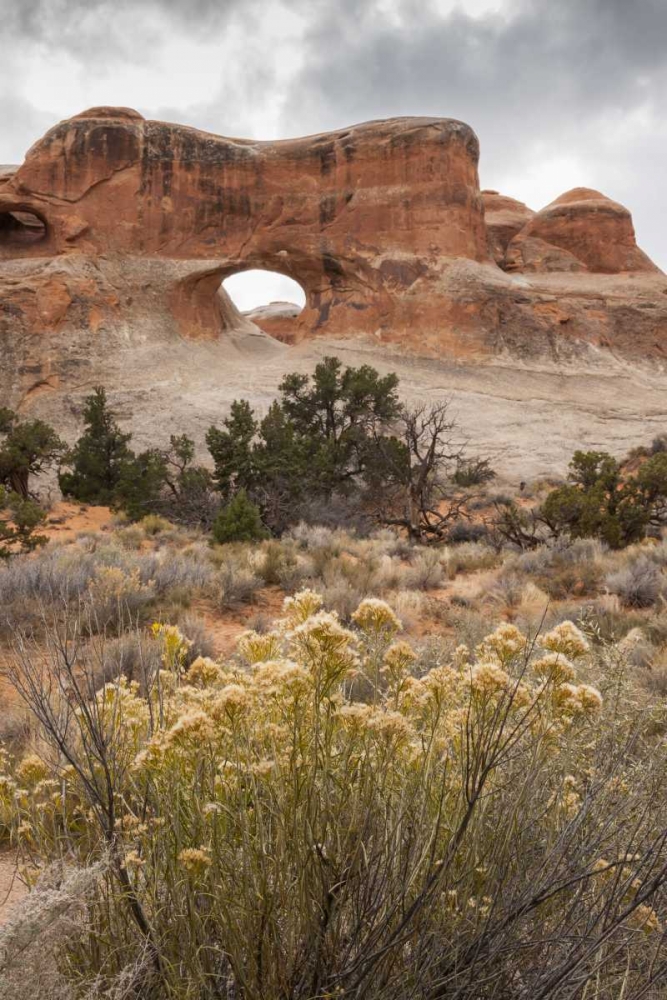 Art Print: USA, Utah, Arches NP Scenic of Tunnel Arch
