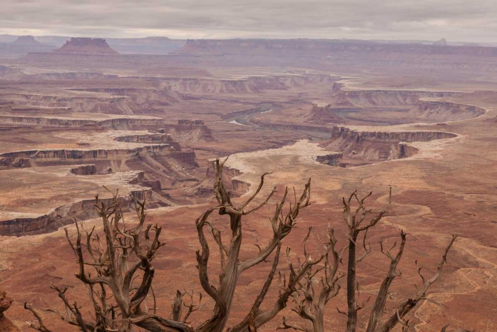 Art Print: USA, Utah, Canyonlands NP White Rim landscape