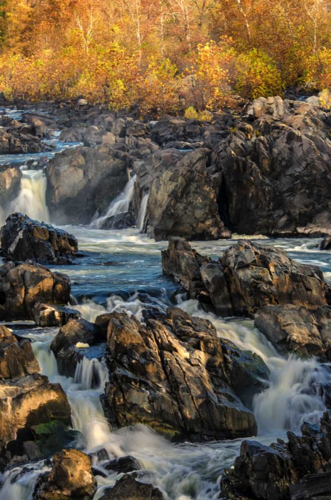 Art Print: Virginia, Great Falls Rapids on Potomac River