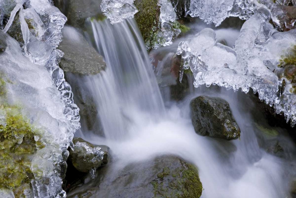 Art Print: Washington, Olympic NP Icy winter waterfall