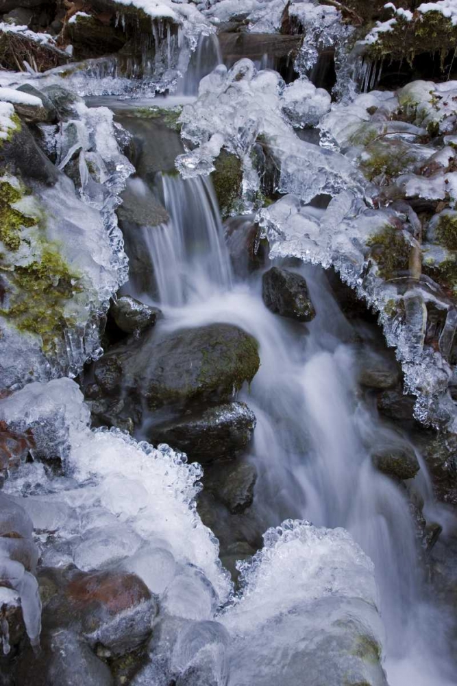 Art Print: Washington, Olympic NP Icy winter waterfall