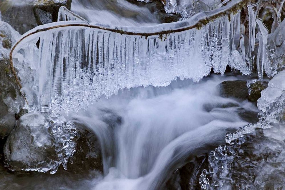 Art Print: Washington, Olympic NP Icy winter waterfall