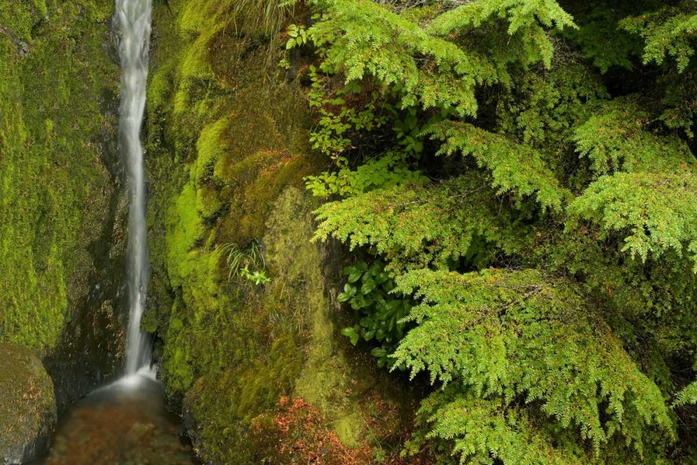 Art Print: WA, Mt Baker Wilderness, Small waterfall