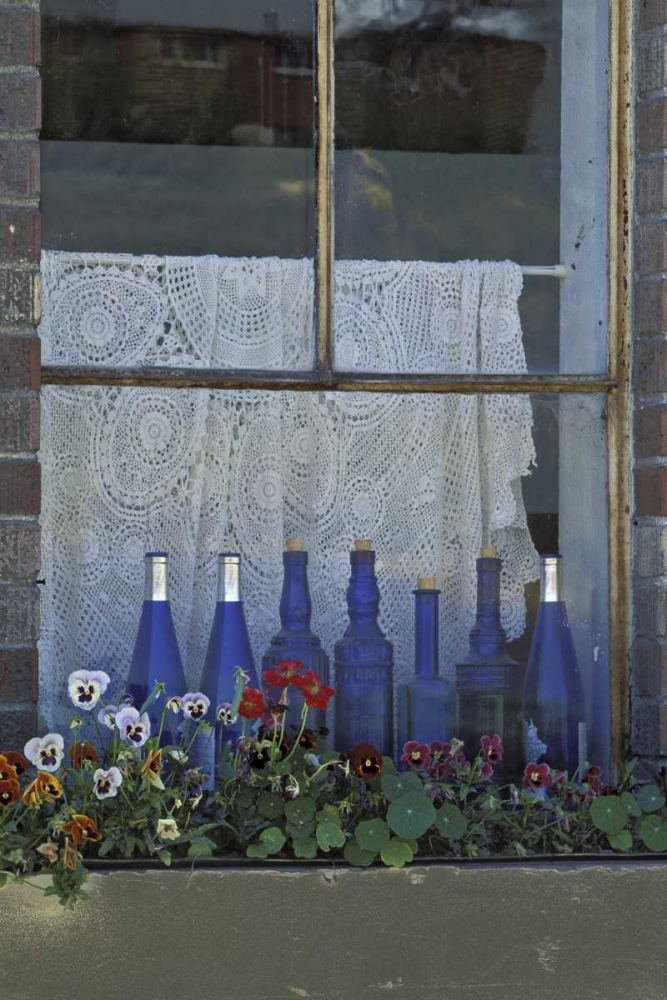 Art Print: WA, Palouse Row of blue bottles and flowers