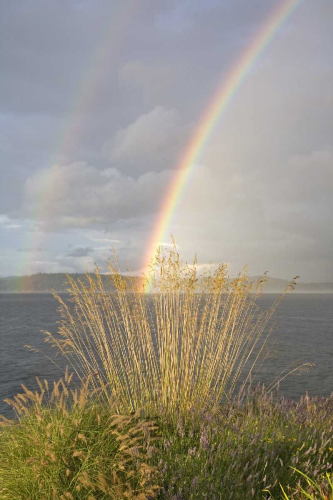 Art Print: WA, Seabeck Double rainbow over the Hood Canal