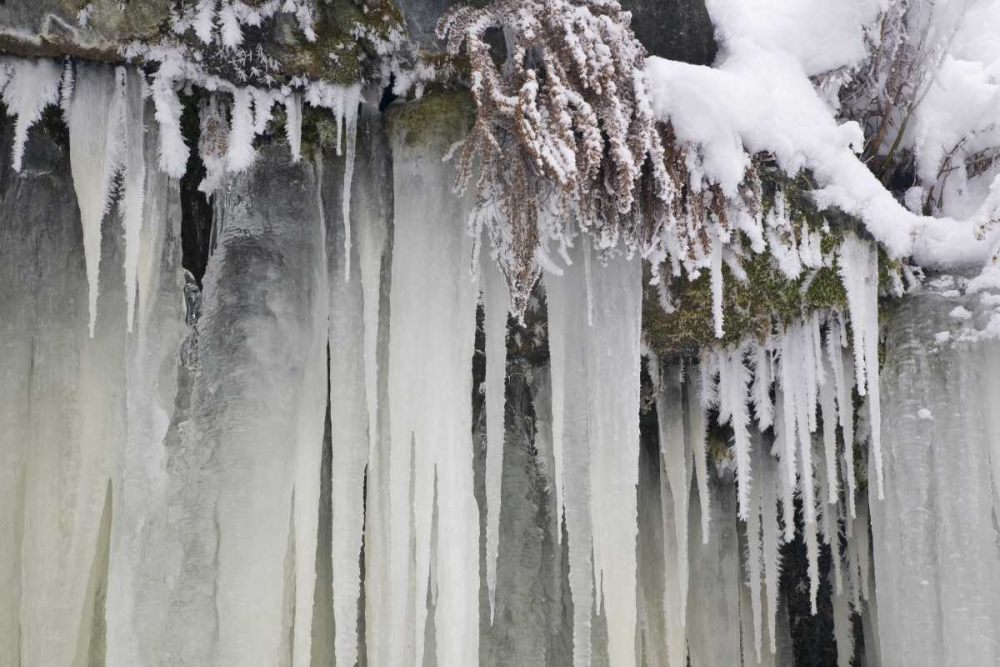 Art Print: Washington, Leavenworth Icicles and snow
