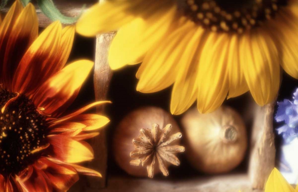 Art Print: USA, Washington, Bellingham