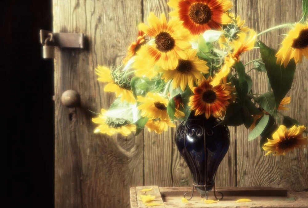 Art Print: USA, Washington, Bellingham