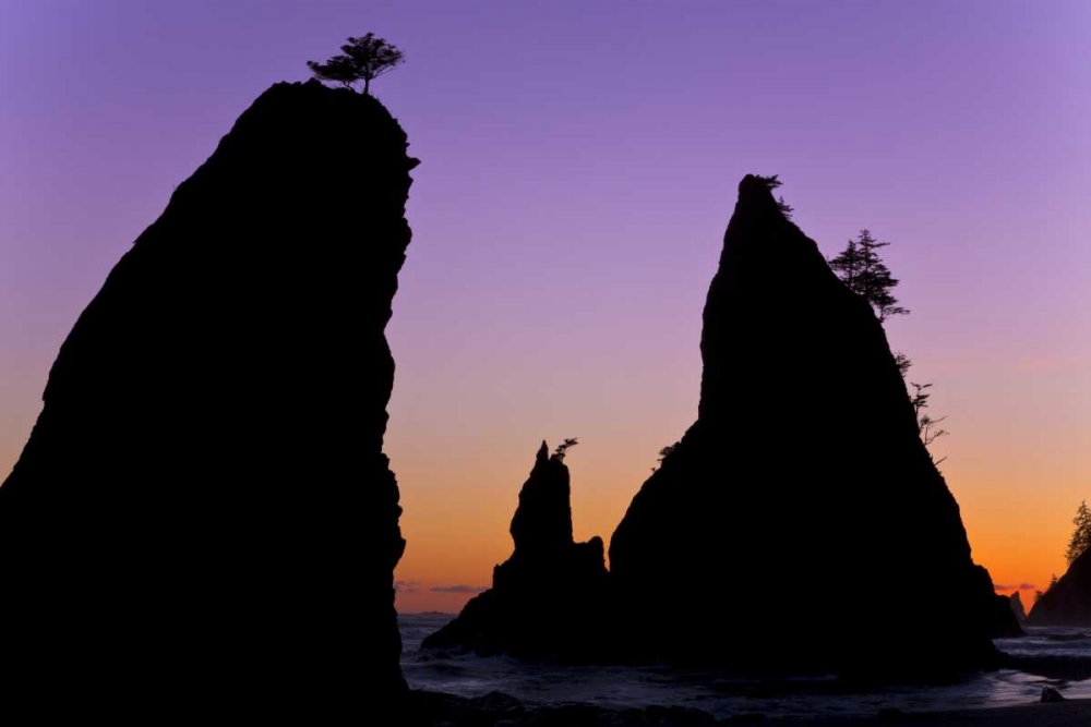 Art Print: WA, Olympic NP Sunset on Rialto Beach sea stacks