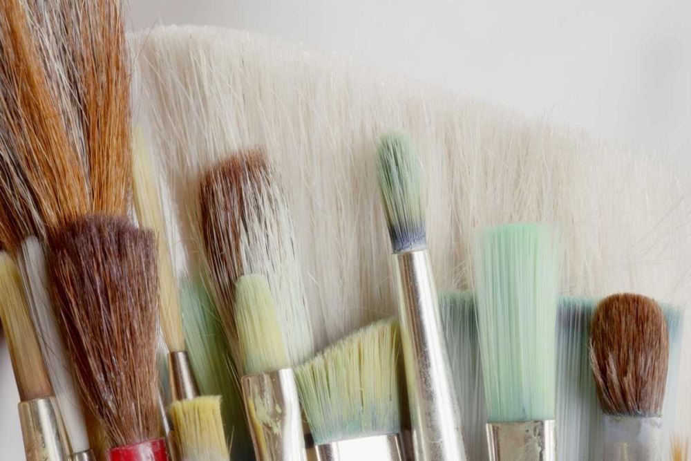 Art Print: Washington, Seabeck Close-up of artists brushes