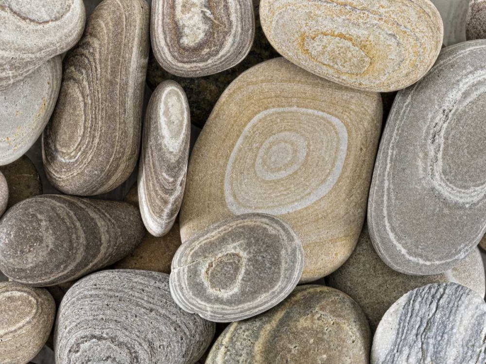 Art Print: Washington, Seabeck Close-up of beach stones
