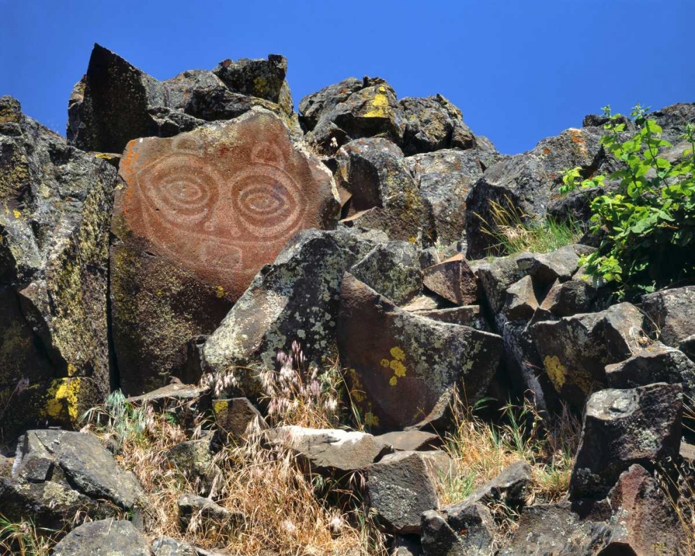 Art Print: WA, Columbia GorgeTsagaglalal petroglyph